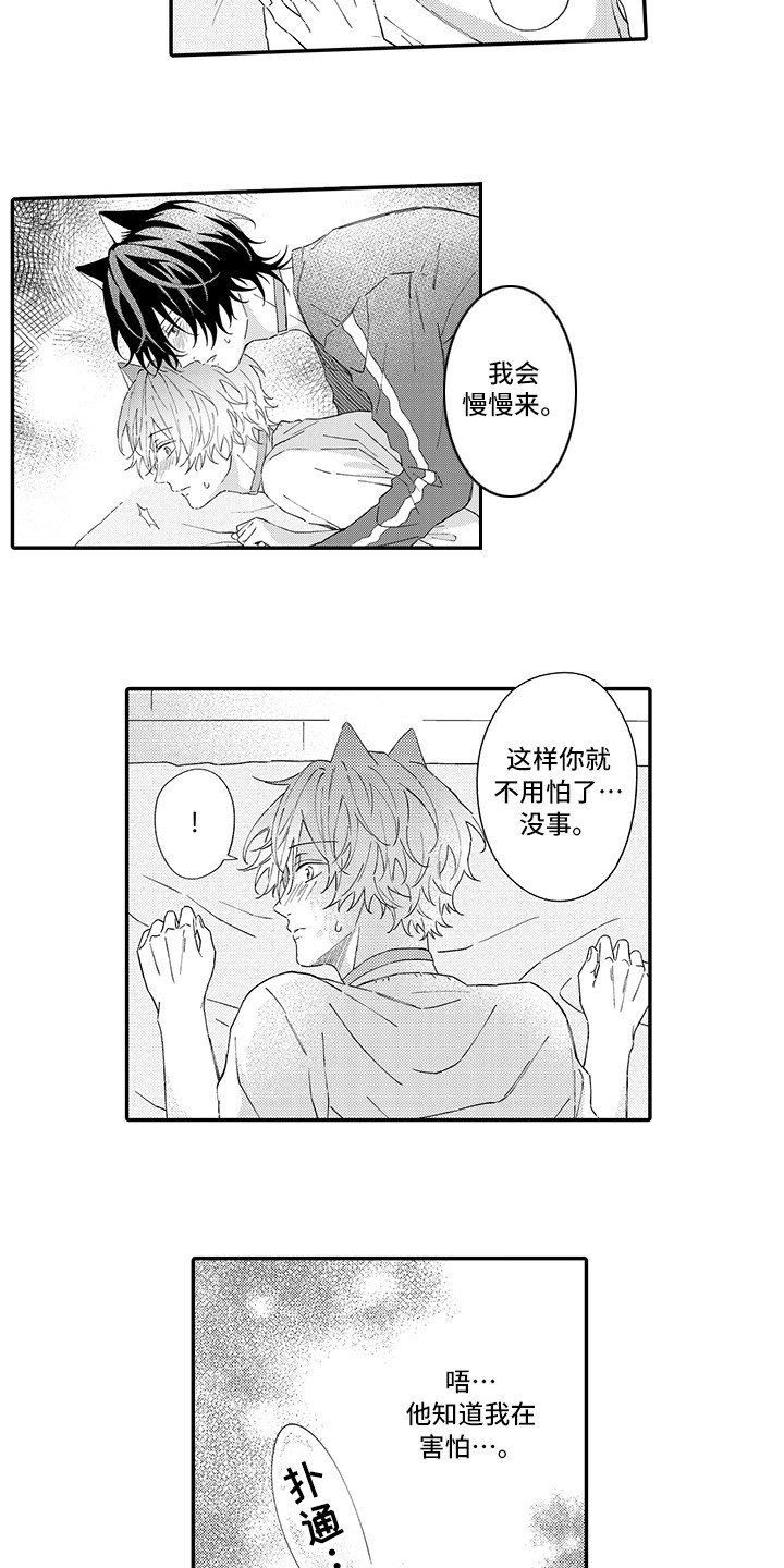 猫咪之家漫画,第8章：不再讨厌2图