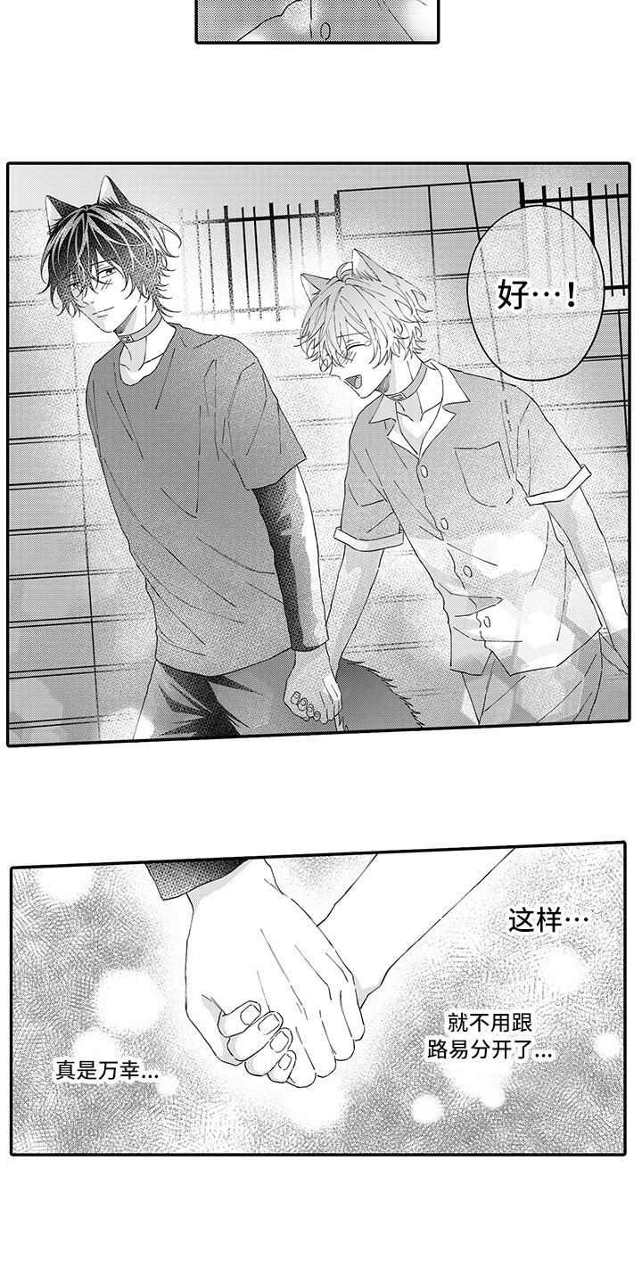 猫咪之家漫画,第16章：私奔2图