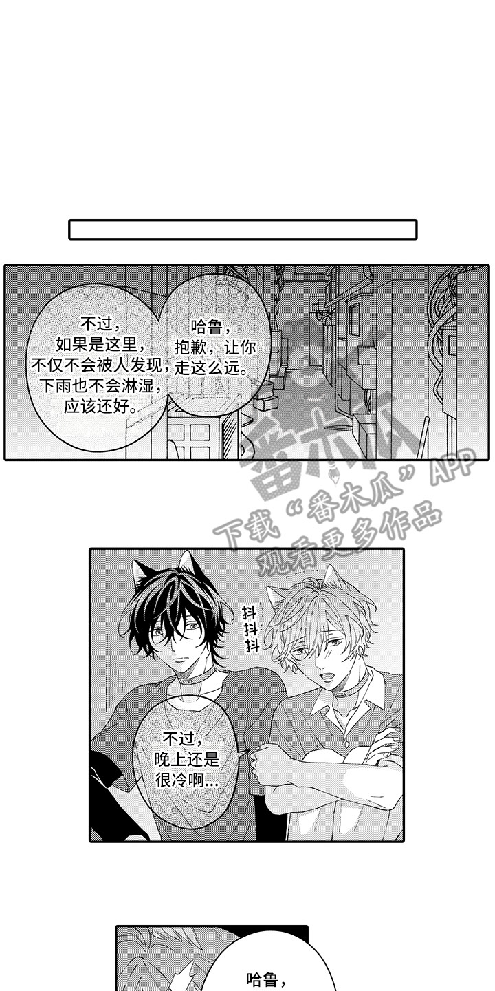 猫咪之家漫画,第16章：私奔1图