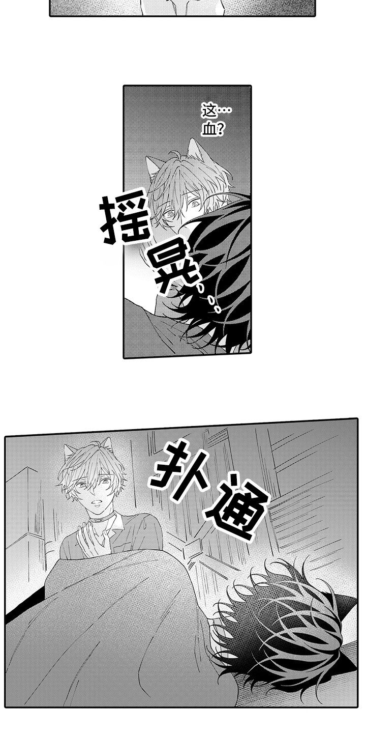 猫咪之家漫画,第18章：受伤了2图