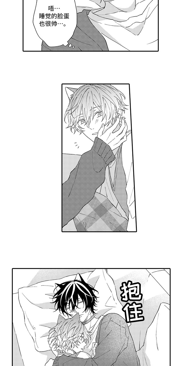 猫咪之家漫画,第9章：心跳加快2图