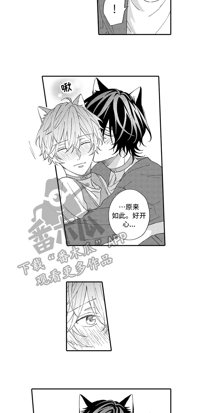 猫咪之家漫画,第10章：表白1图