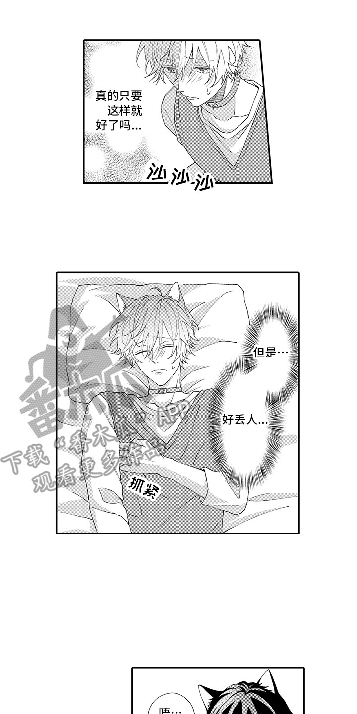 猫咪之家漫画,第4章：照顾1图