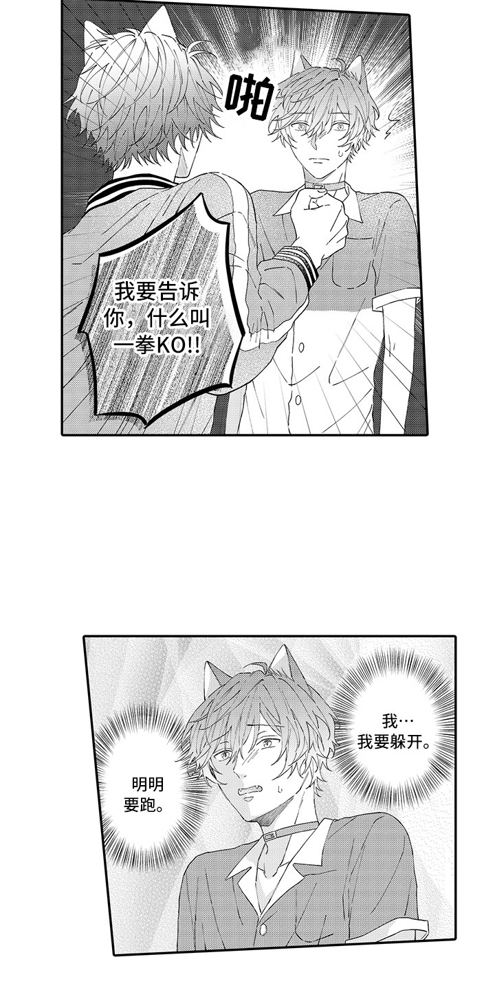 猫咪之家漫画,第17章：保护2图