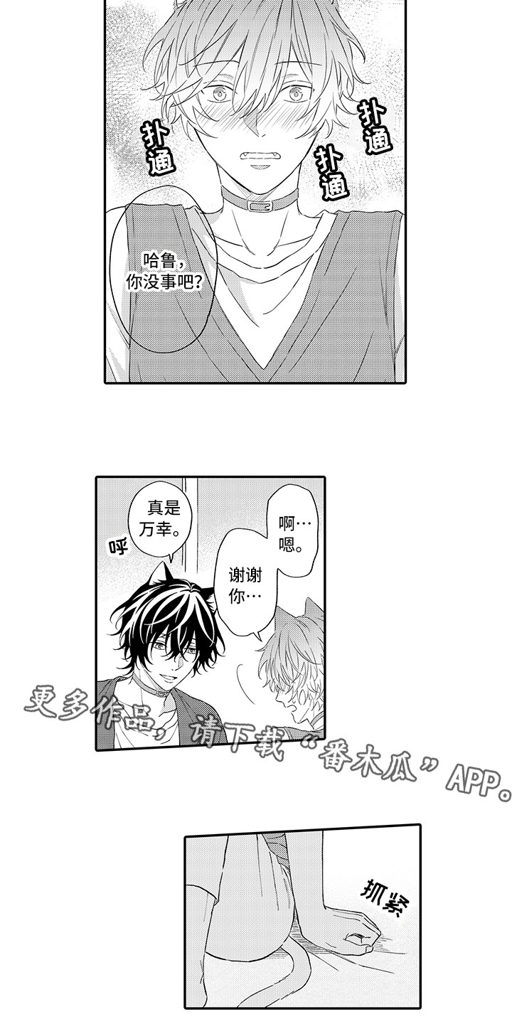 猫咪之家漫画,第9章：心跳加快1图