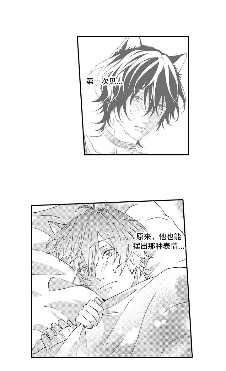 猫咪之家漫画,第4章：照顾2图