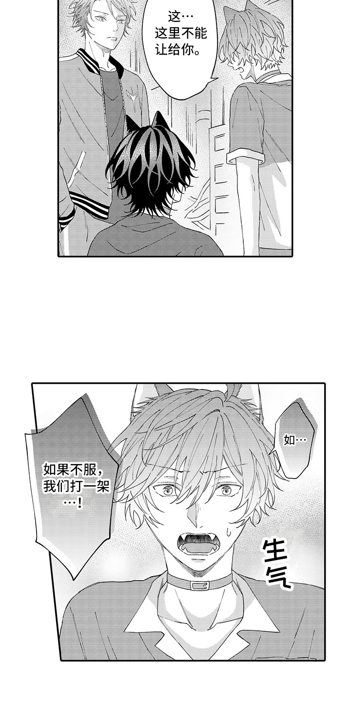 猫咪之家漫画,第17章：保护2图