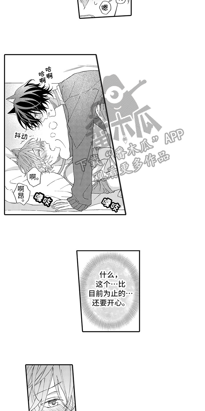 猫咪之家漫画,第11章：很开心1图