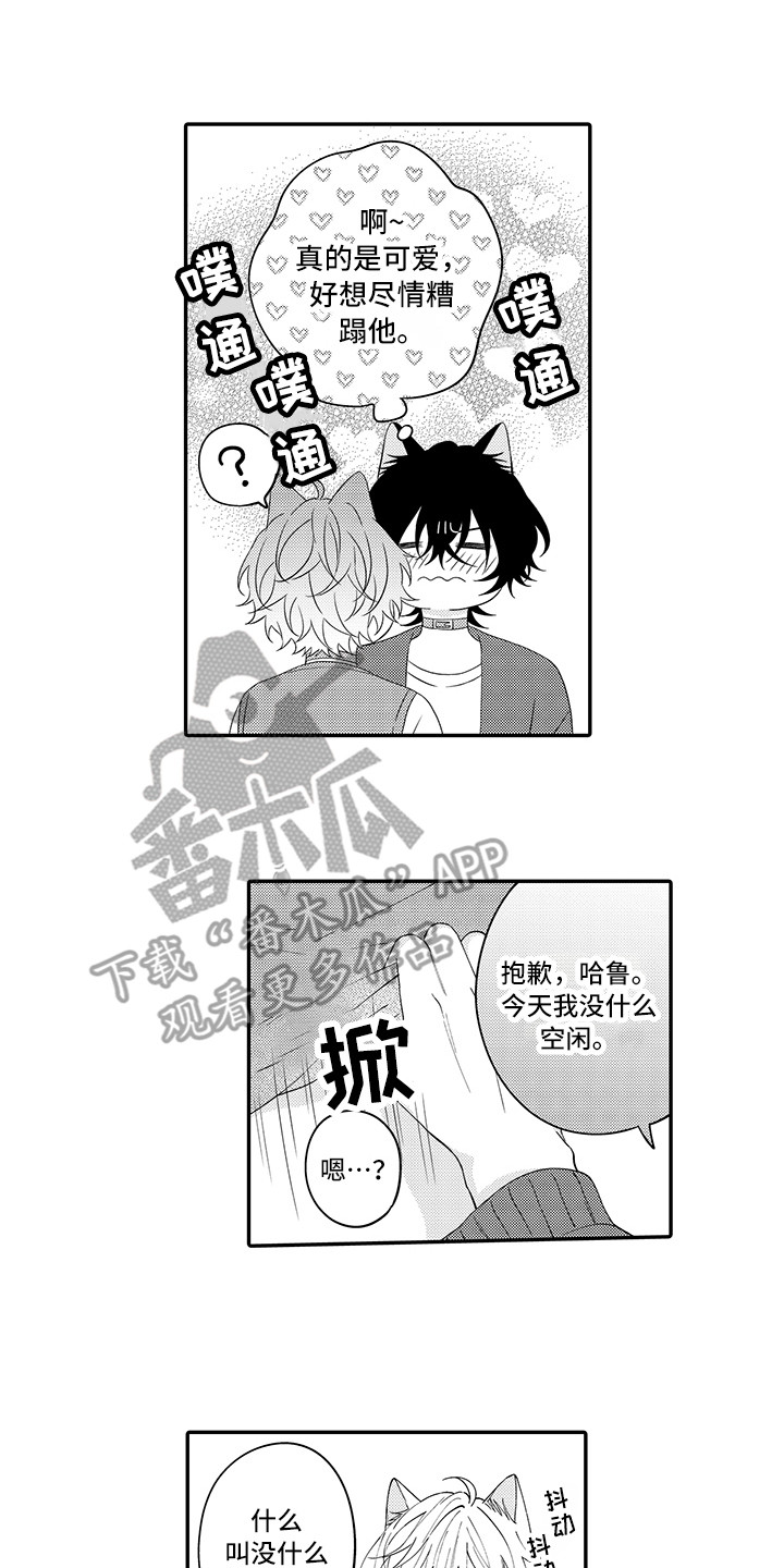 猫咪之家漫画,第24章：在一起（完结）1图