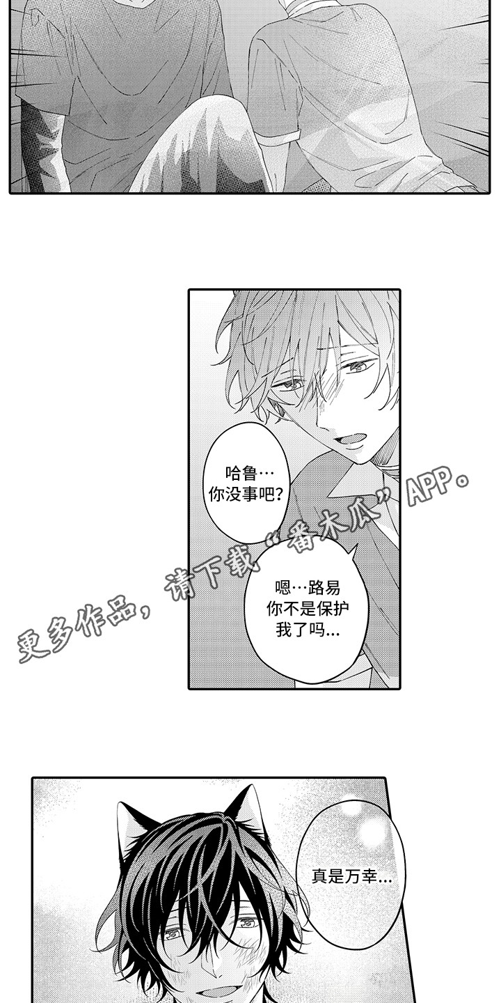 猫咪之家漫画,第18章：受伤了1图