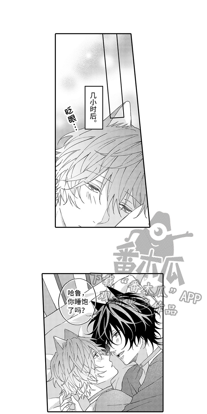 猫咪之家漫画,第15章：坏消息1图