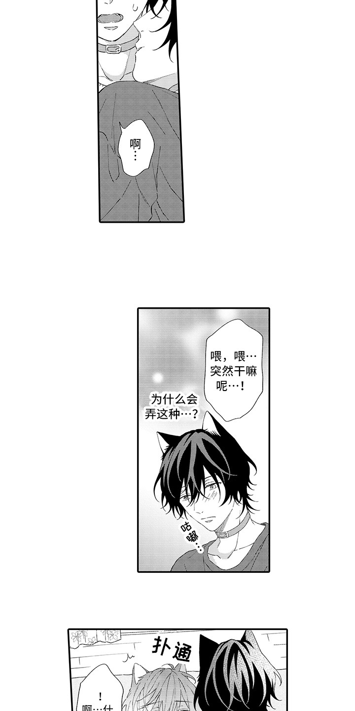 猫咪之家漫画,第7章：没法抵抗2图