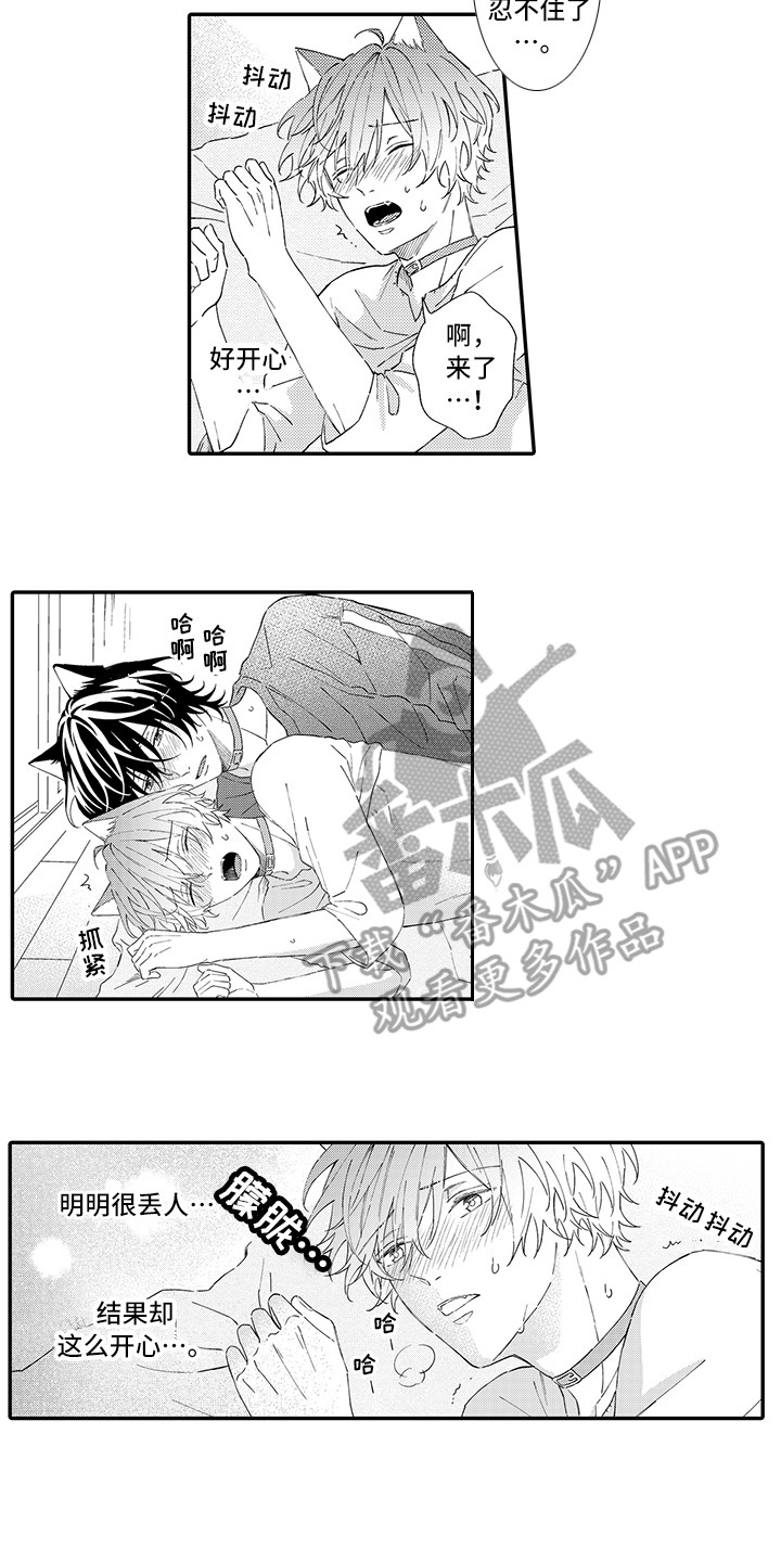猫咪之家漫画,第8章：不再讨厌1图