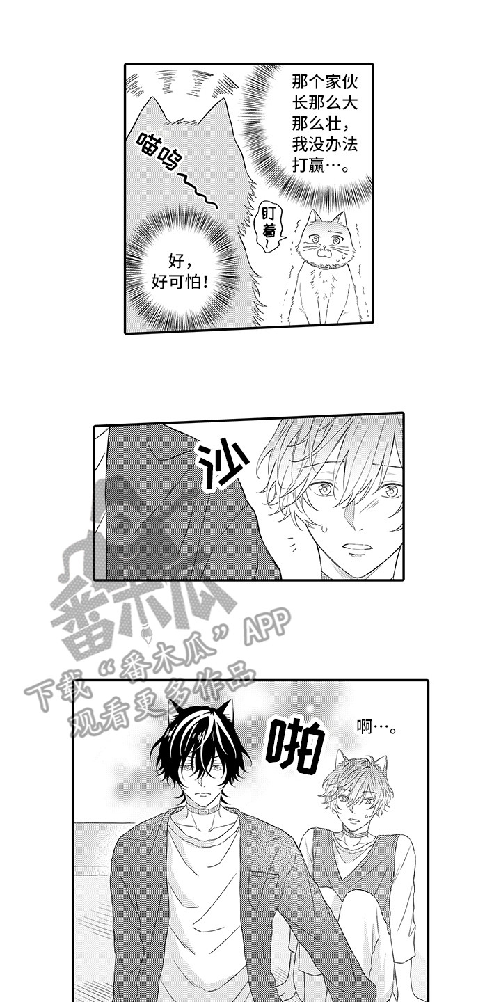 猫咪之家漫画,第8章：不再讨厌1图