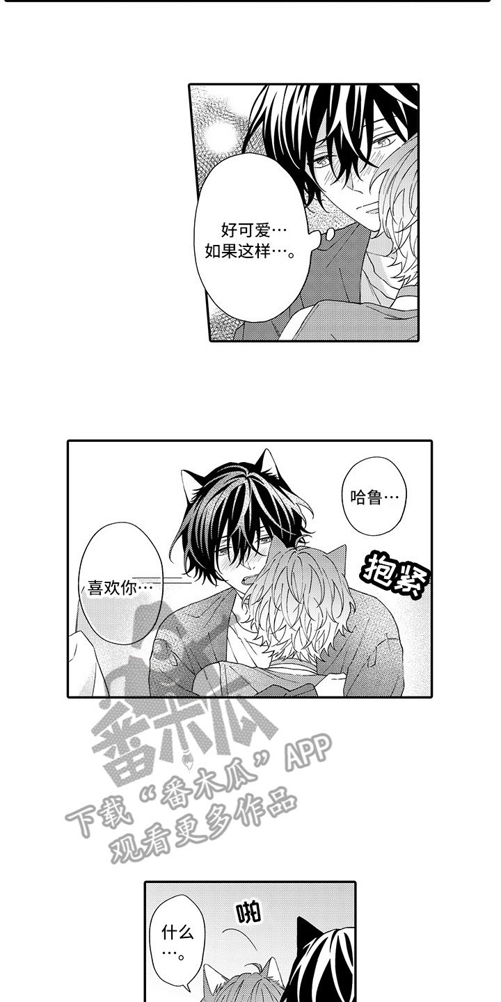 猫咪之家漫画,第10章：表白1图