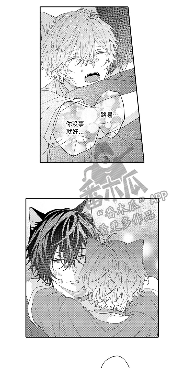 猫咪之家漫画,第20章：求救1图