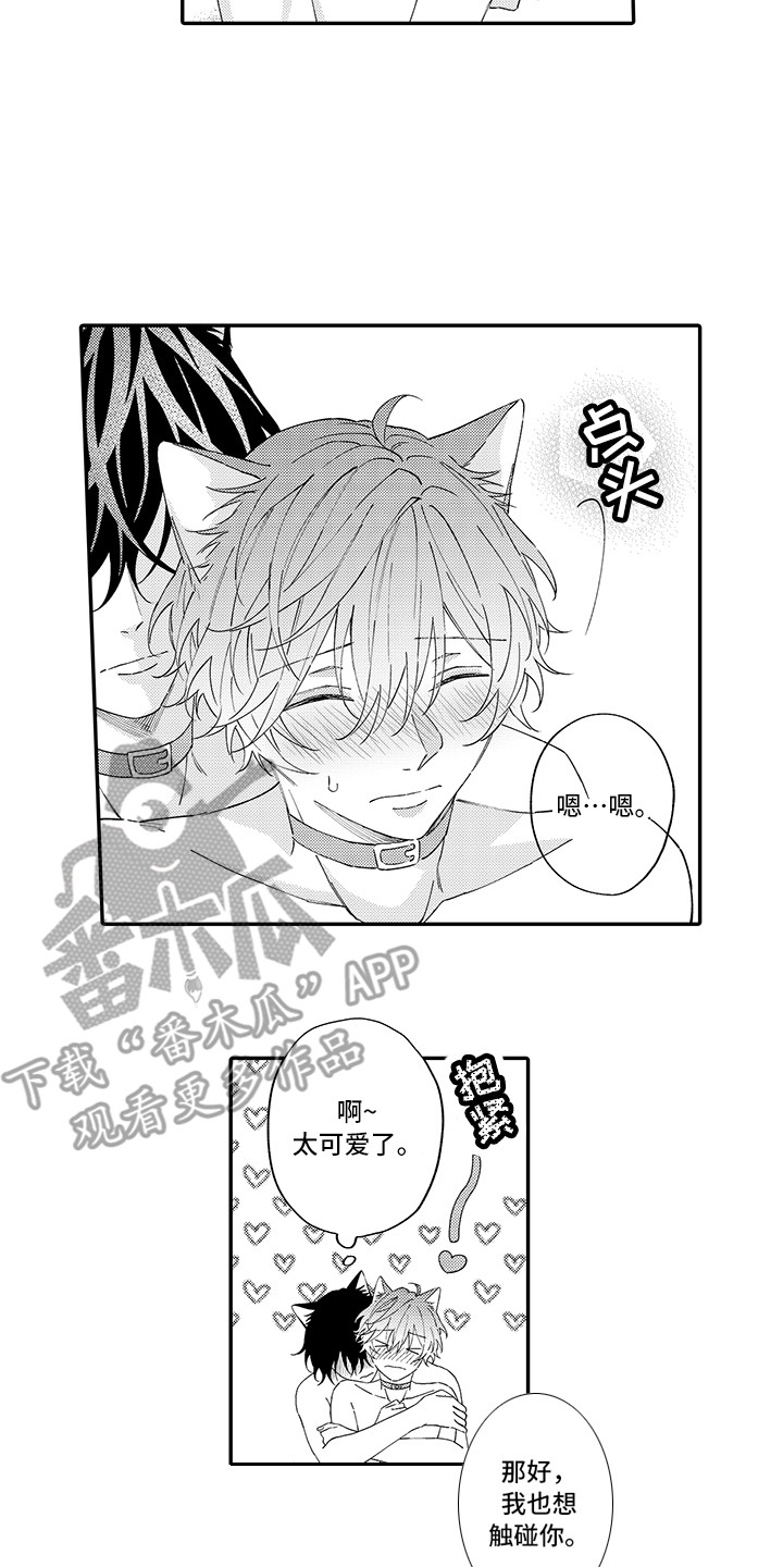 猫咪之家漫画,第13章：洗一洗1图
