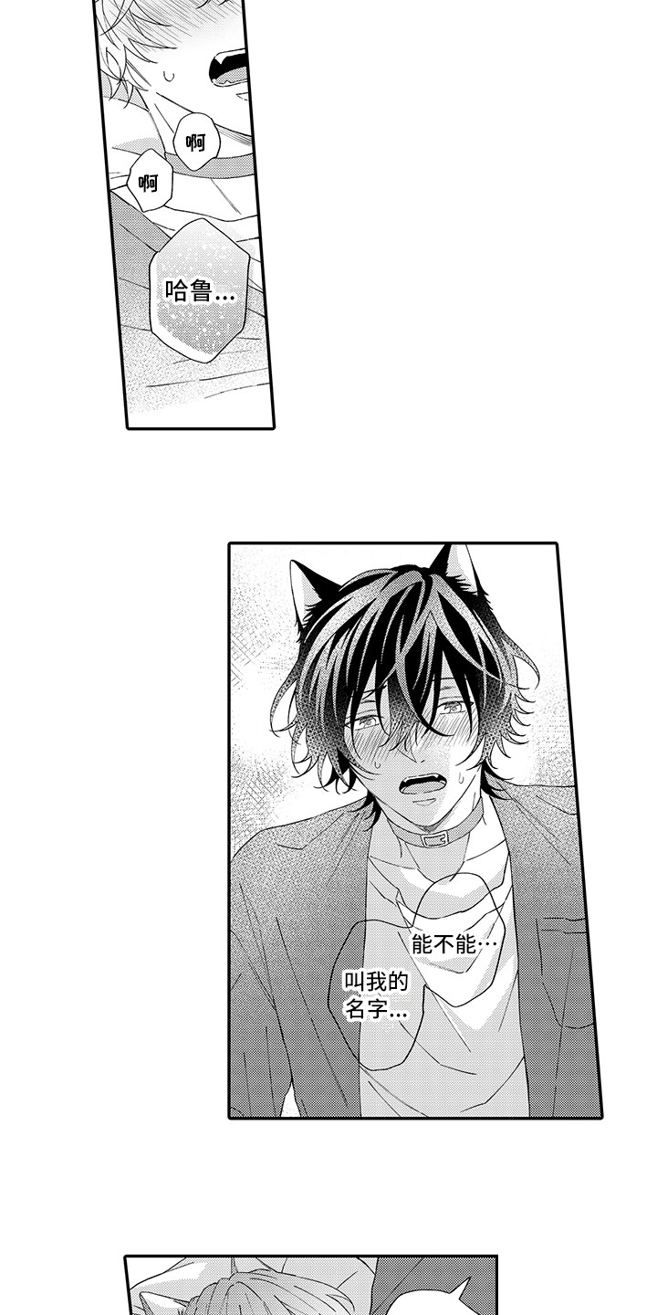 猫咪之家漫画,第11章：很开心2图