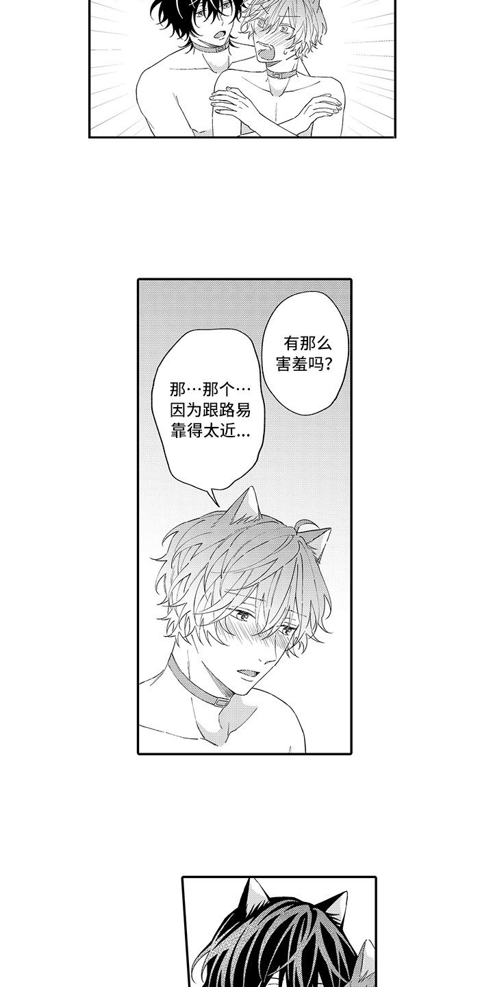 猫咪之家漫画,第12章：怕水2图