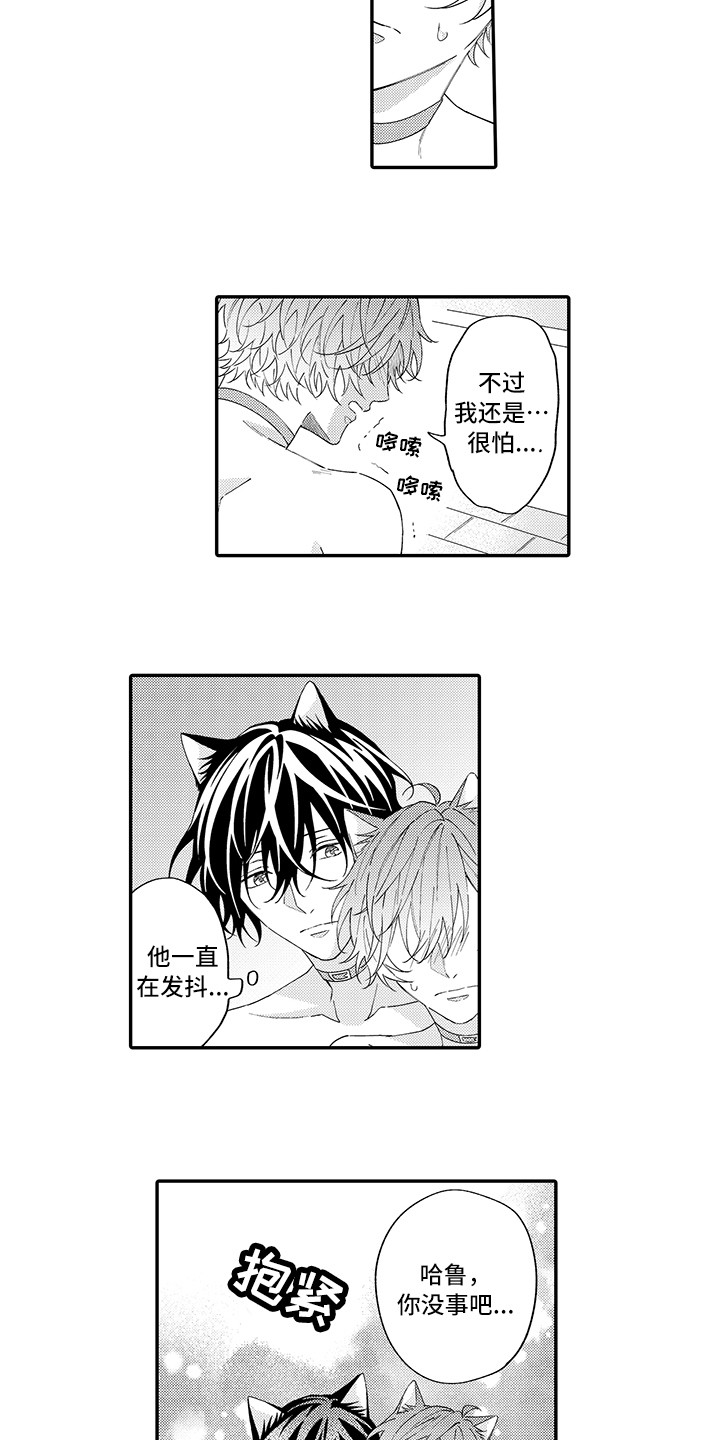 猫咪之家漫画,第12章：怕水2图