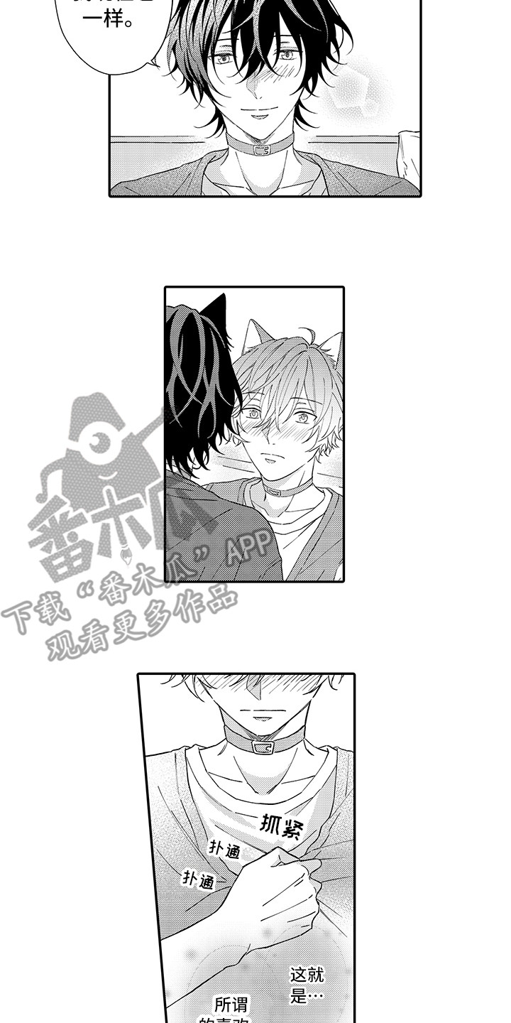 猫咪之家漫画,第10章：表白1图