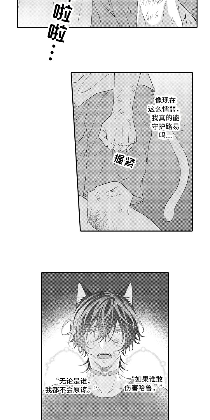 猫咪之家漫画,第19章：急切2图