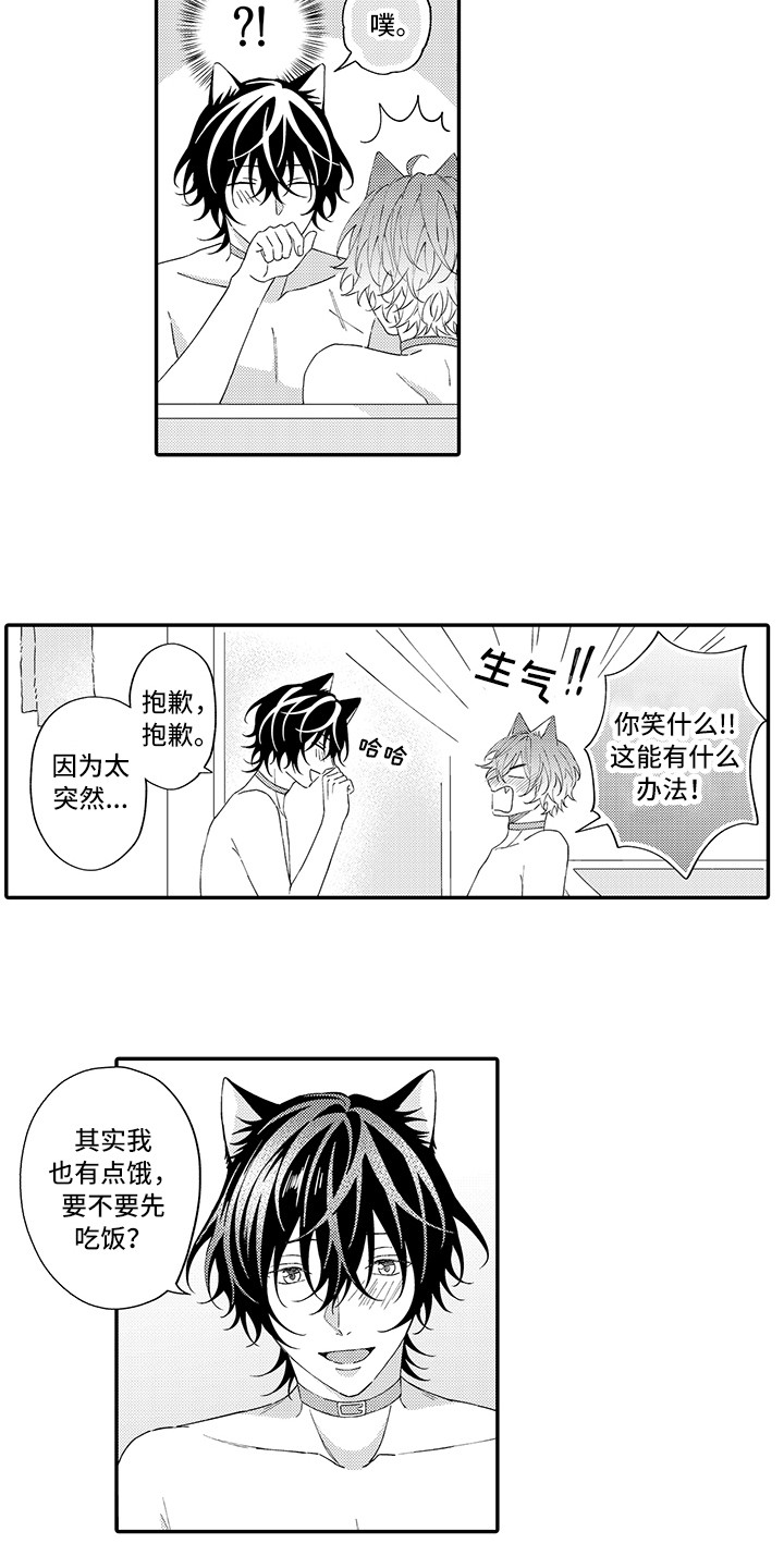 猫咪之家漫画,第14章：睡着了2图
