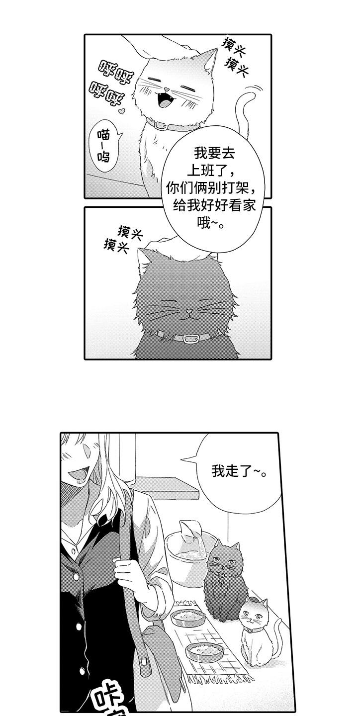 猫咪之家漫画,第1章：两只小猫2图