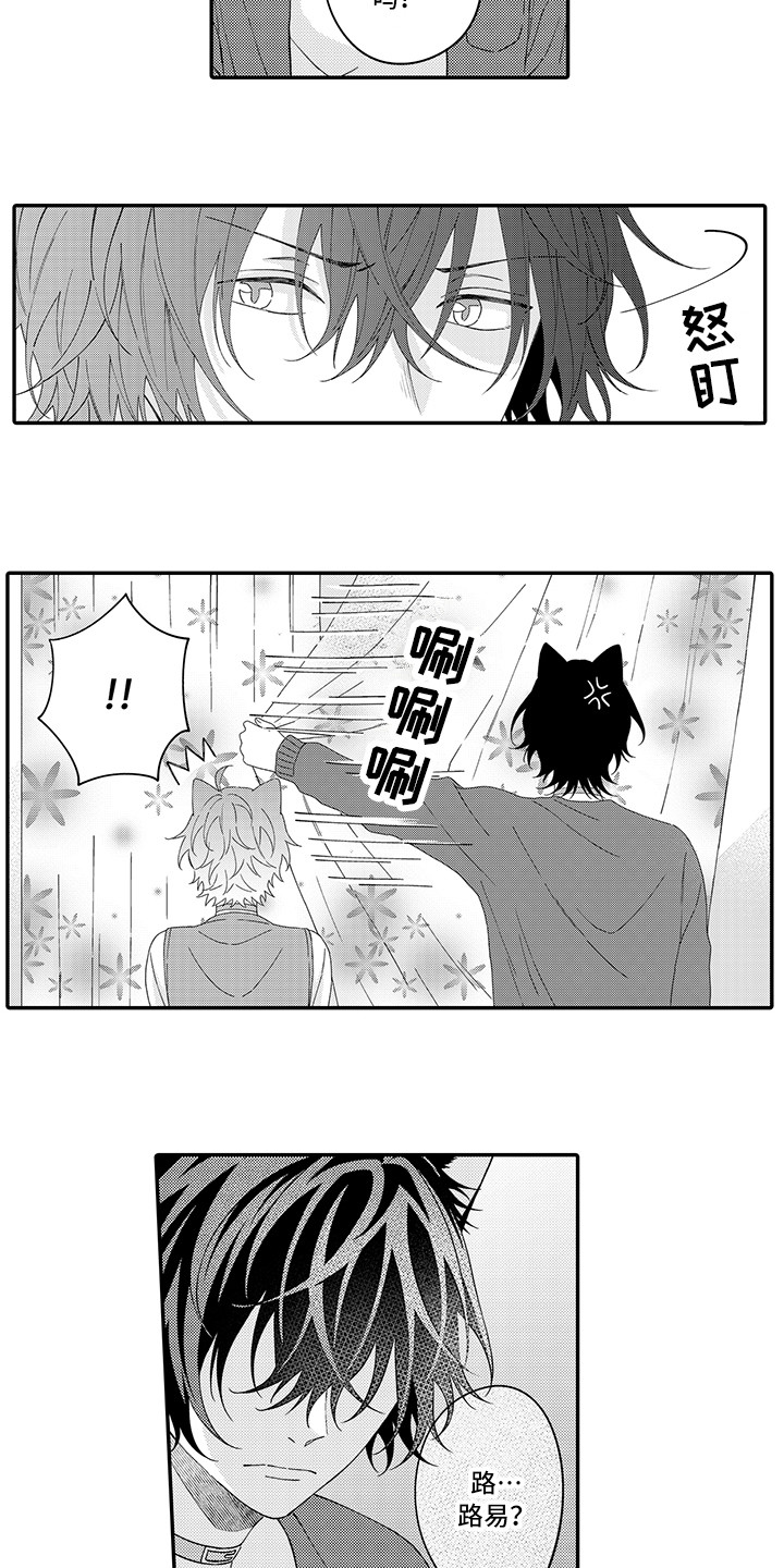 猫咪之家漫画,第23章：嫉妒2图