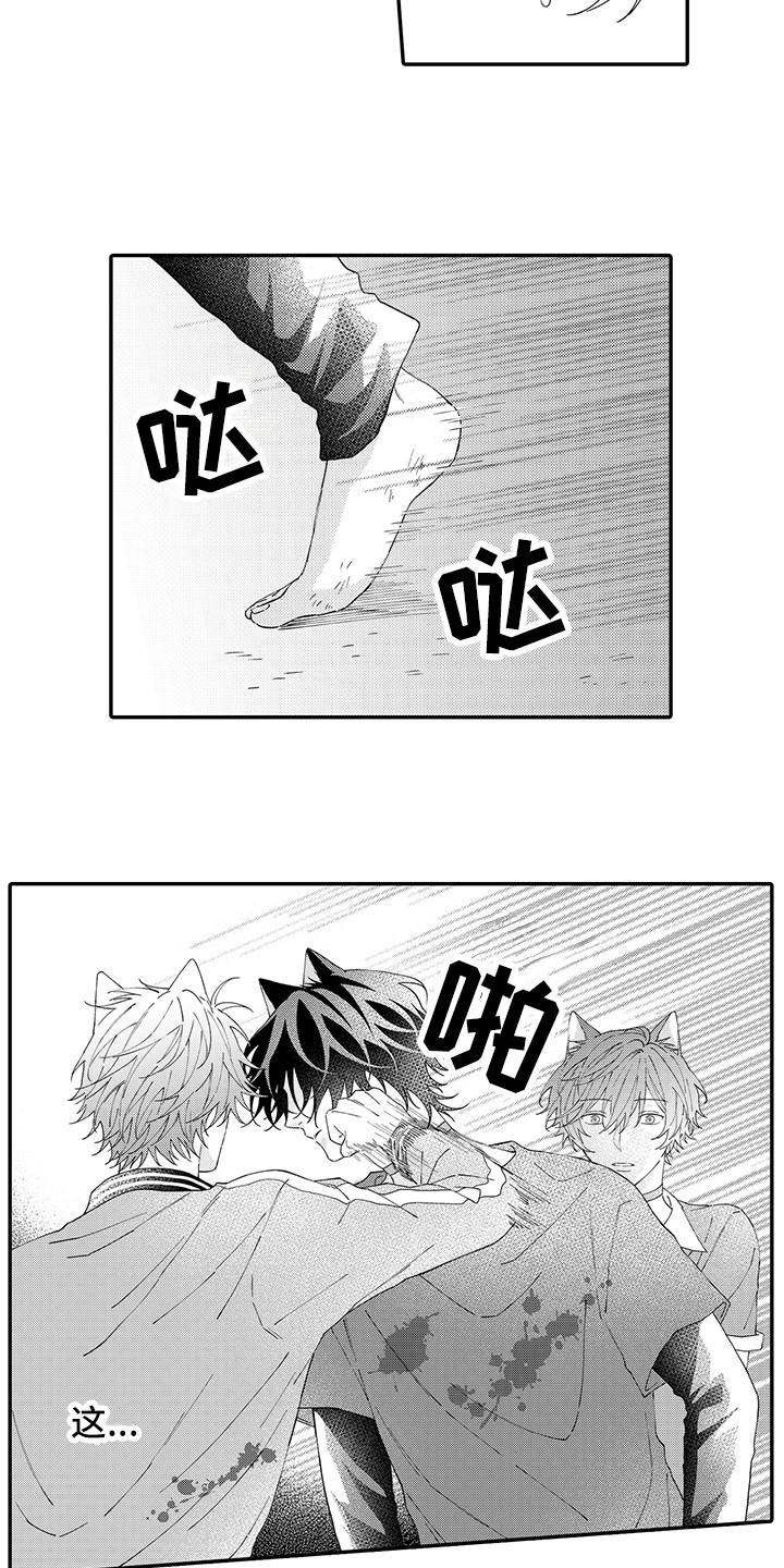 猫咪之家漫画,第17章：保护2图