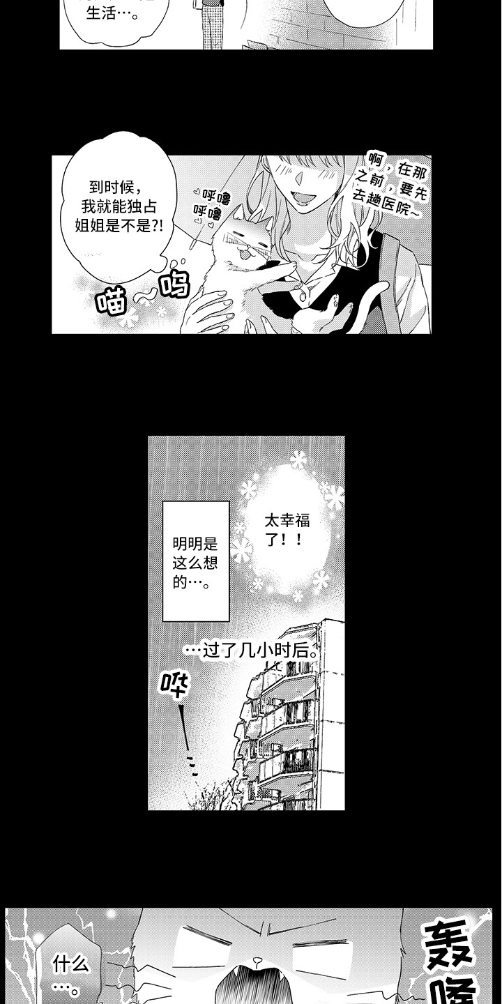 猫咪之家漫画,第1章：两只小猫1图