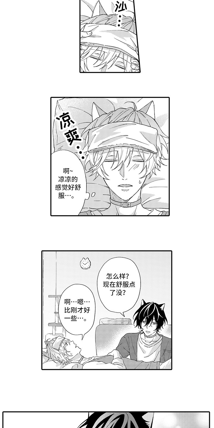 猫咪之家漫画,第3章：发烧1图
