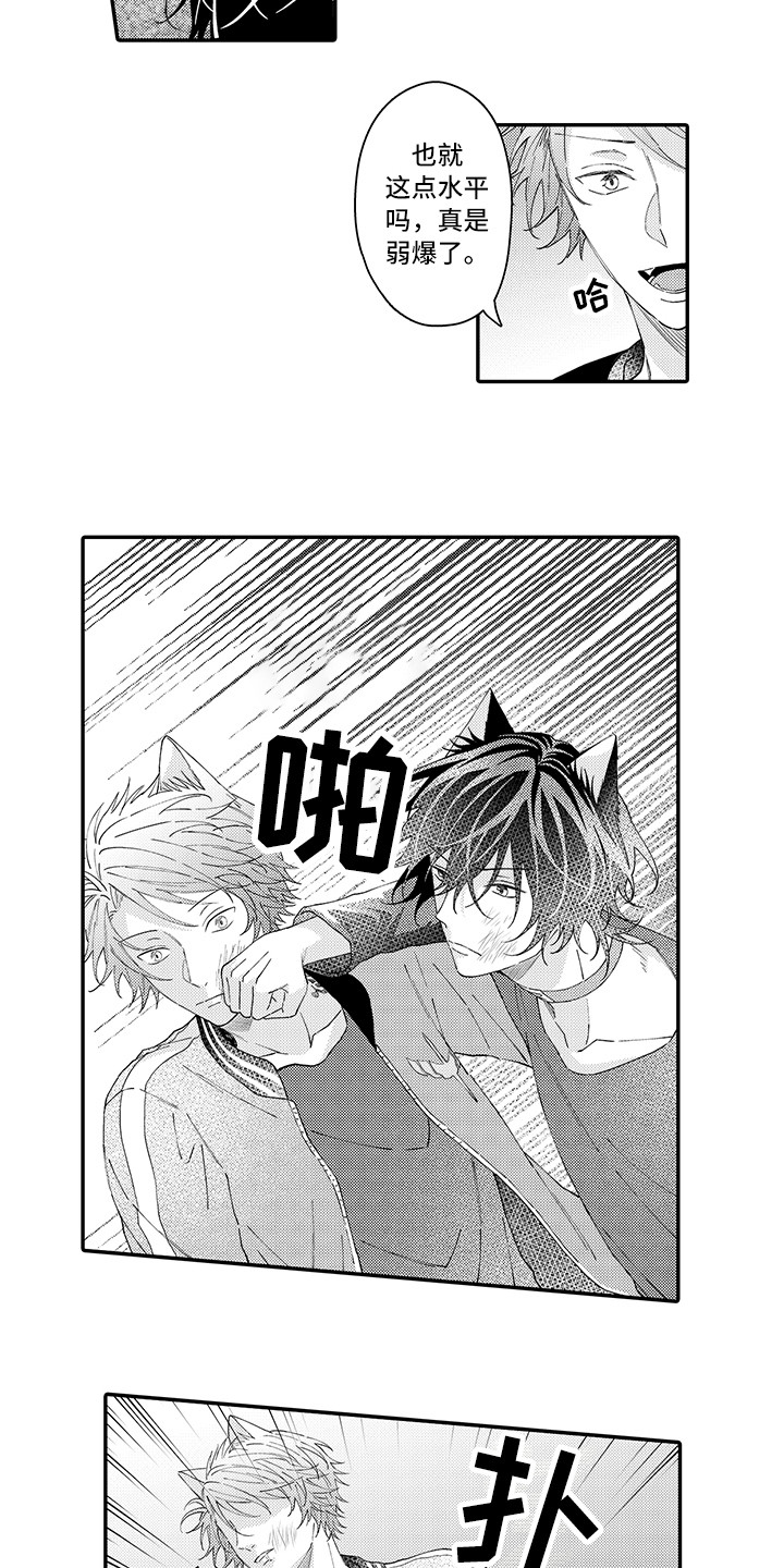 猫咪之家漫画,第17章：保护2图