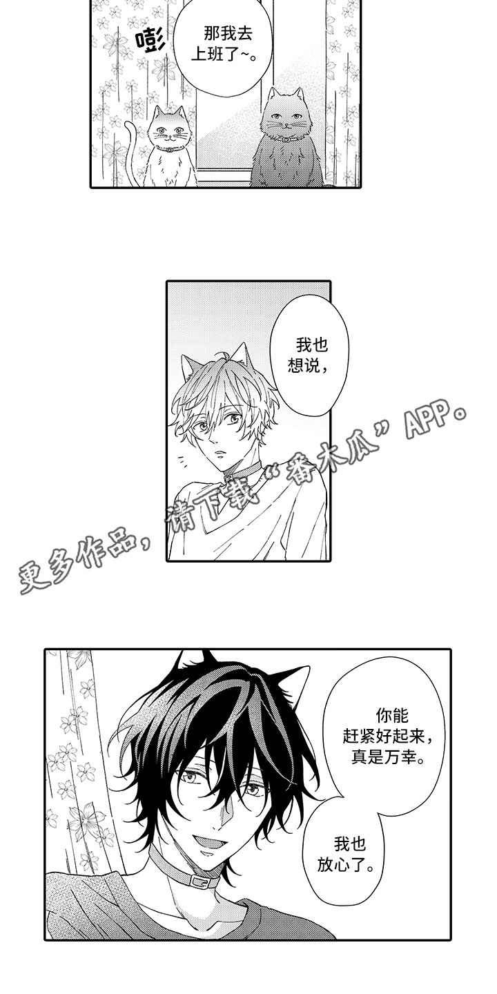 猫咪之家漫画,第5章：倾诉1图