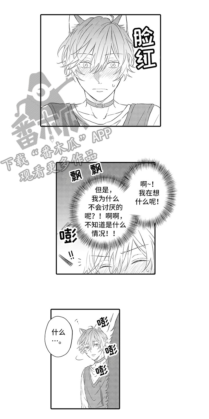 猫咪之家漫画,第8章：不再讨厌1图