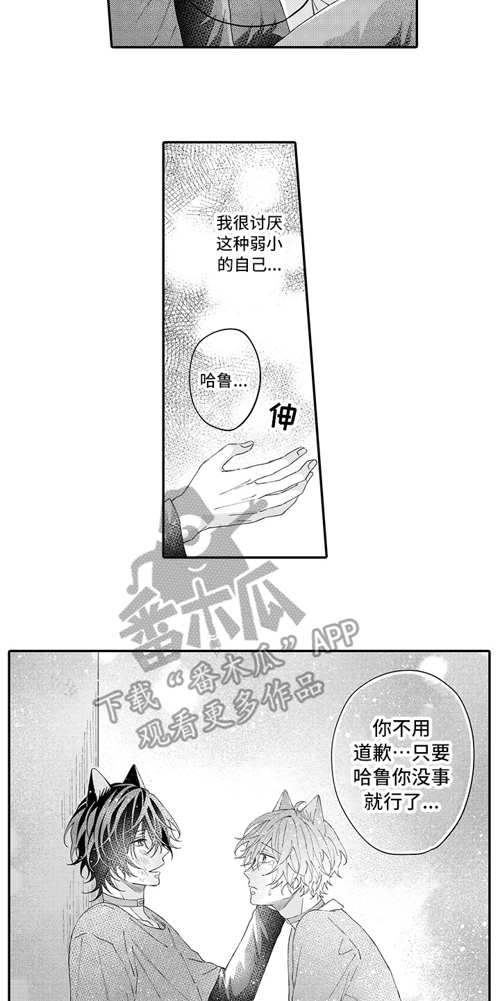 猫咪之家漫画,第18章：受伤了1图