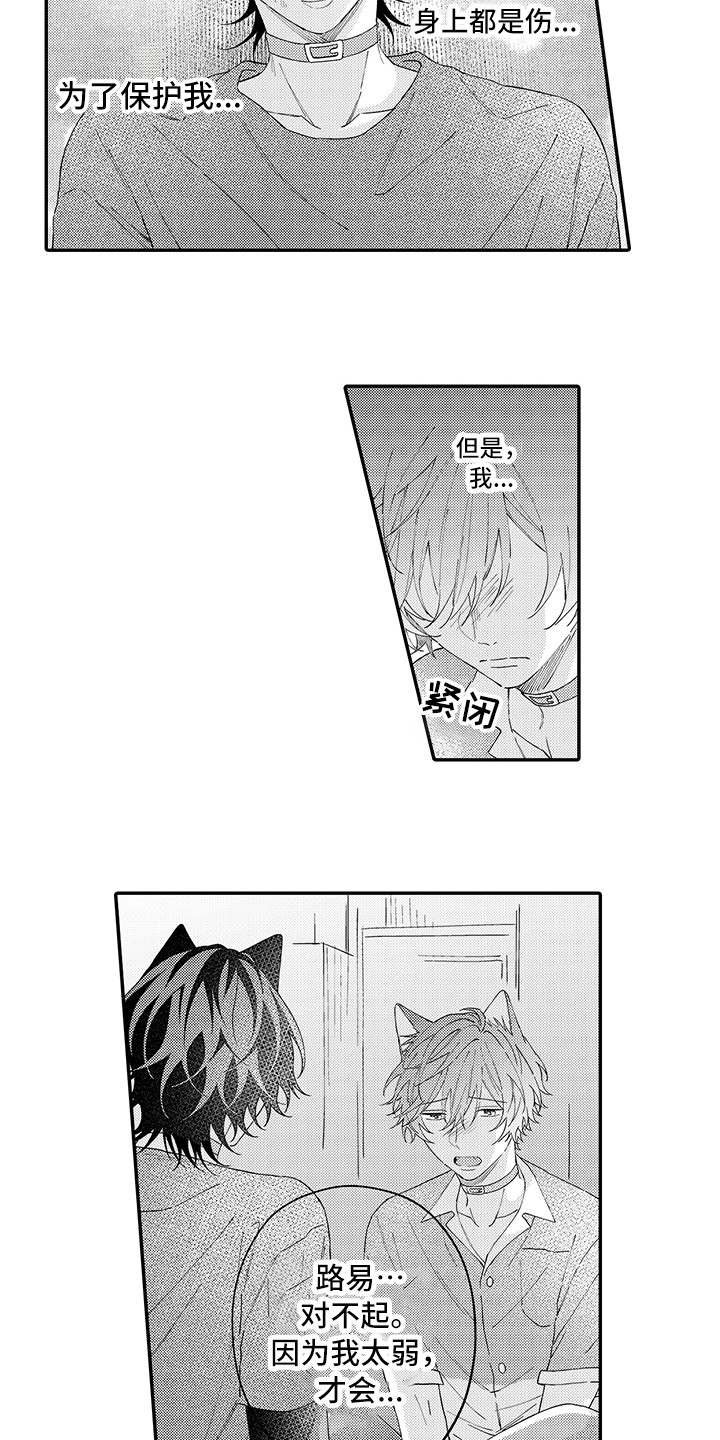 猫咪之家漫画,第18章：受伤了2图