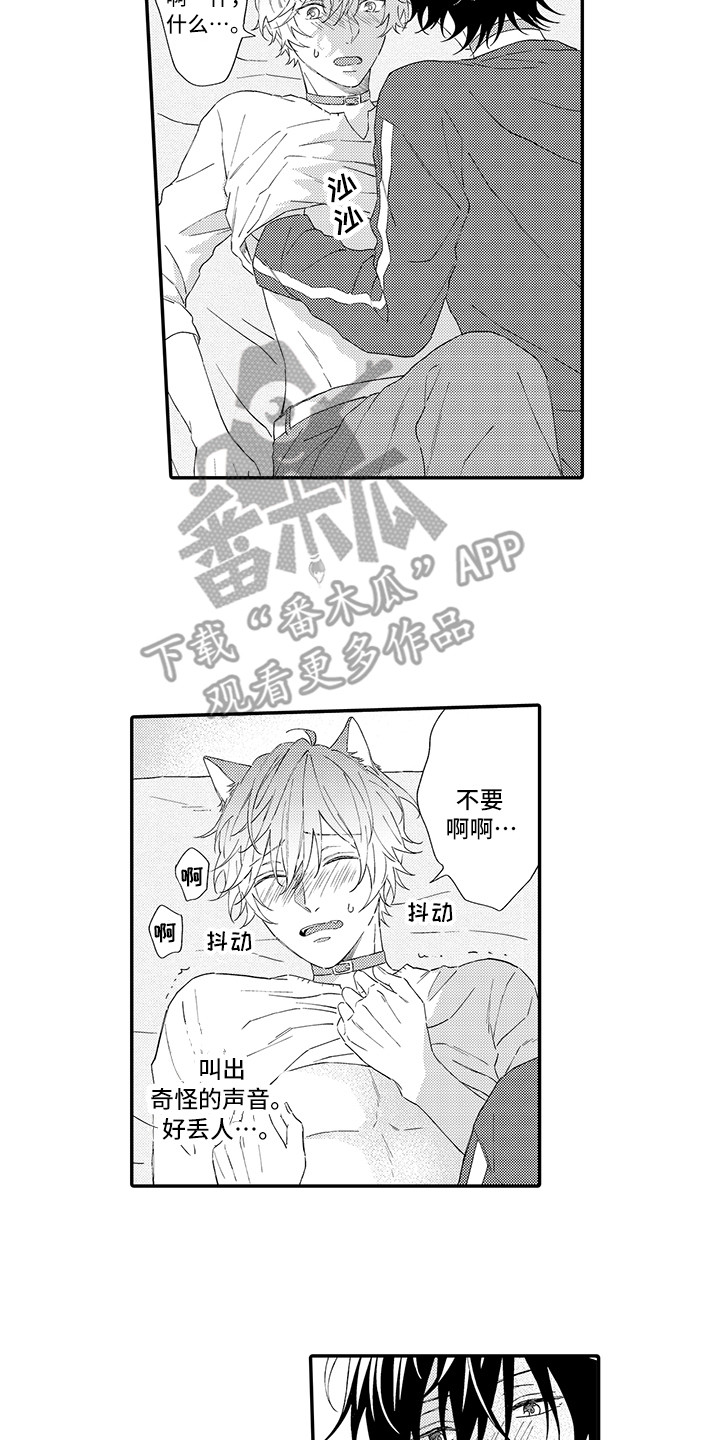 猫咪之家漫画,第7章：没法抵抗1图