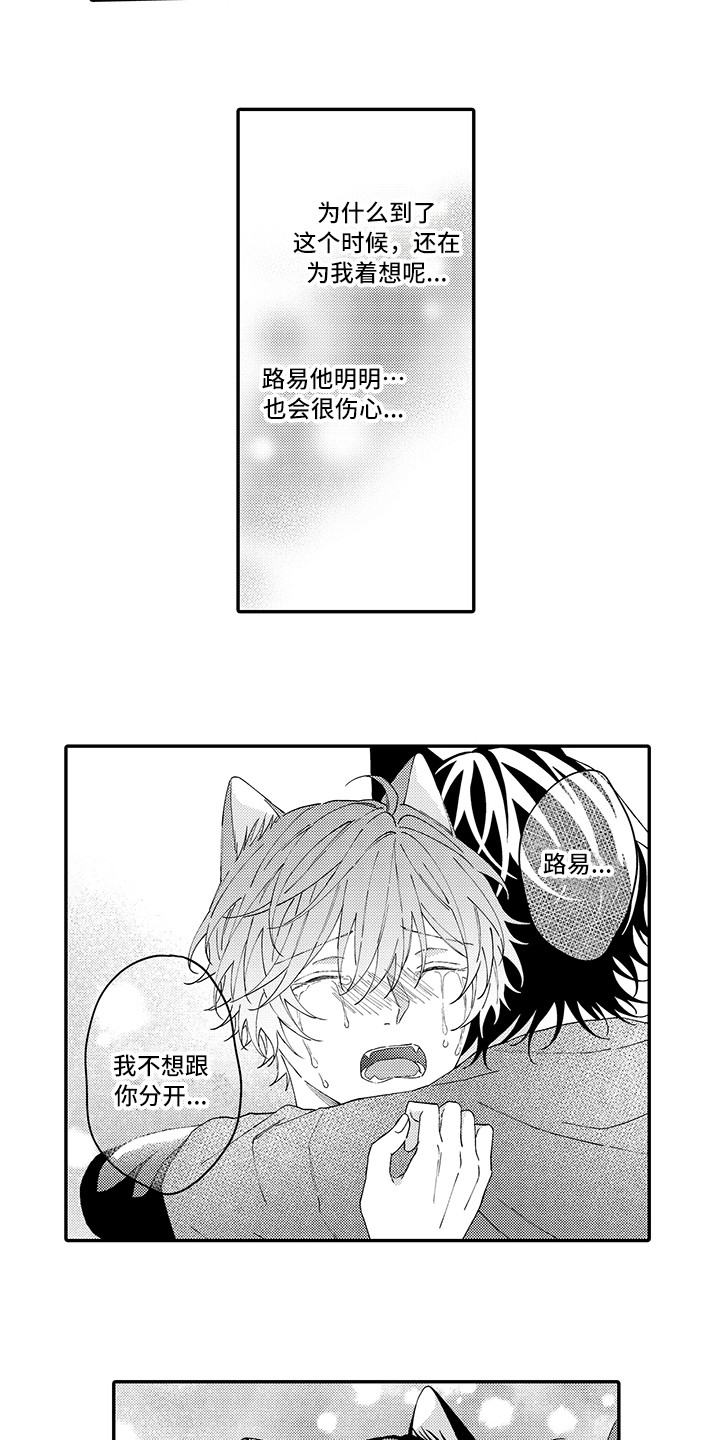 猫咪之家漫画,第16章：私奔2图