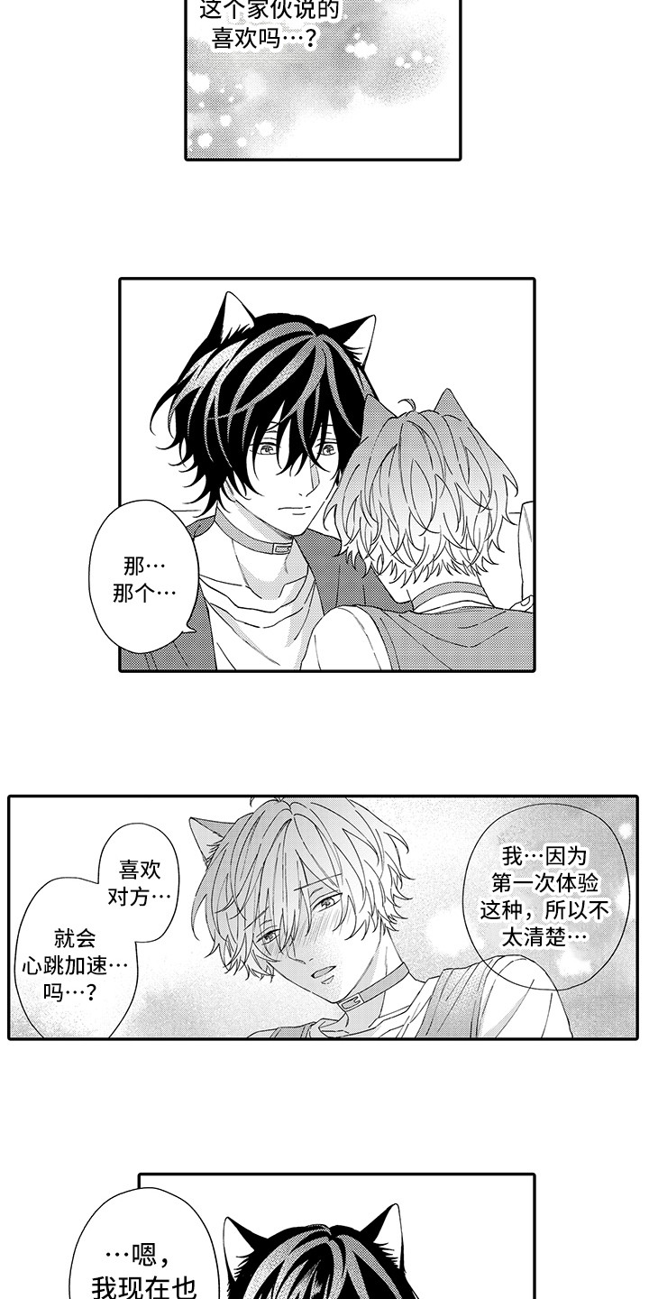 猫咪之家漫画,第10章：表白2图