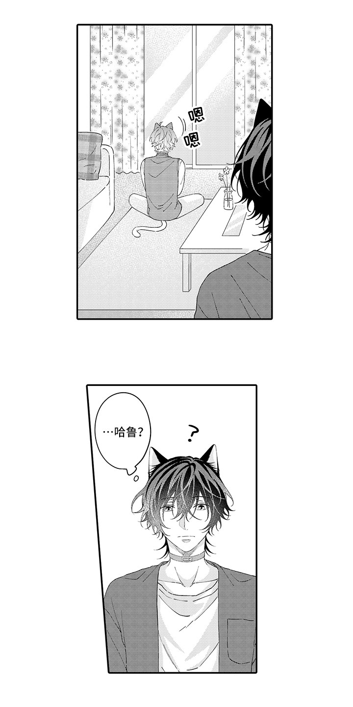 猫咪之家漫画,第22章：新家2图
