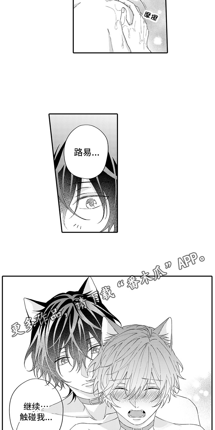 猫咪之家漫画,第13章：洗一洗1图