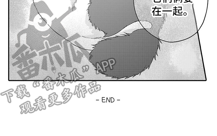 猫咪之家漫画,第24章：在一起（完结）1图