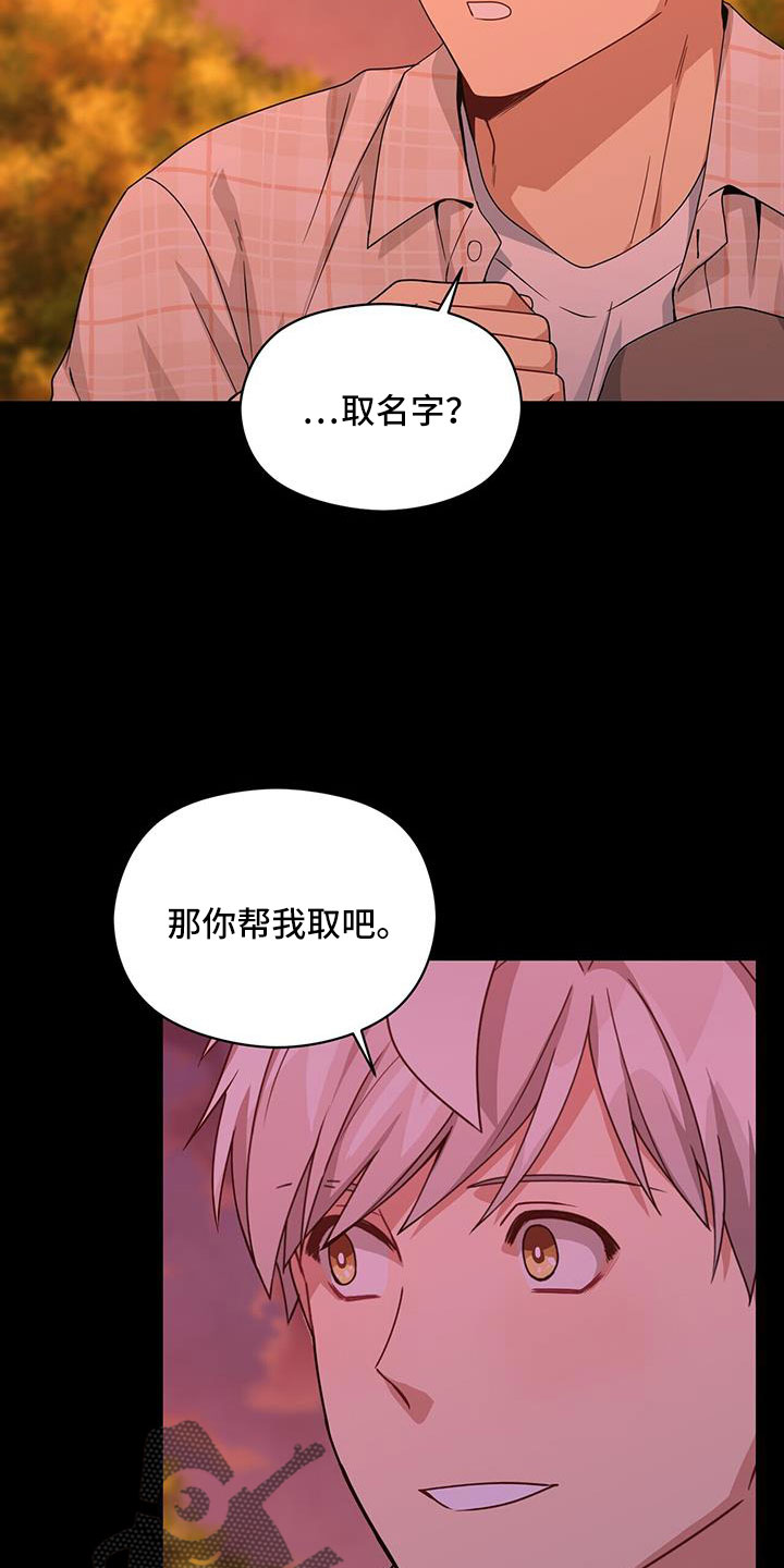 未来男友英语怎么写漫画,第129章：付出伤害我的代价1图