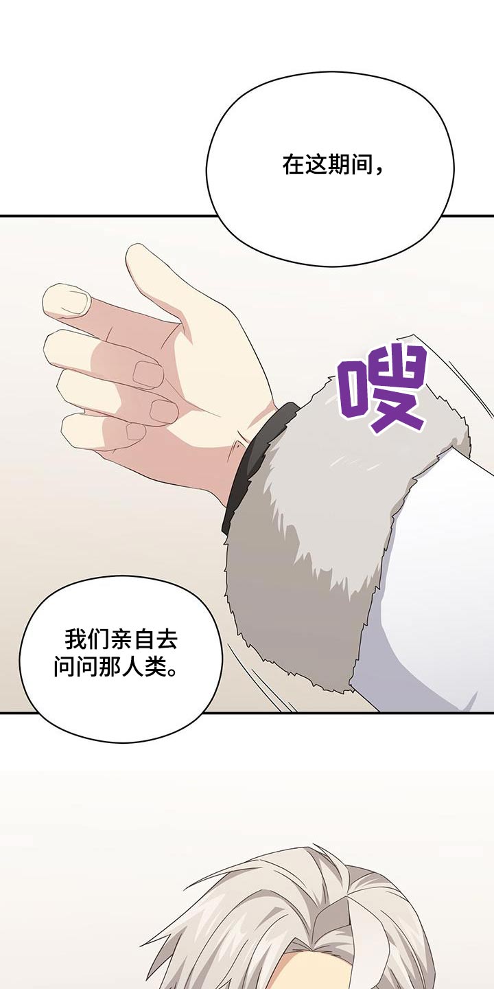 未来男友图鉴漫画,第147章：【番外】有话要问1图