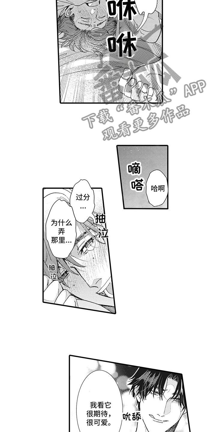 长的像王子文的女演员漫画,第27章：最后一步1图