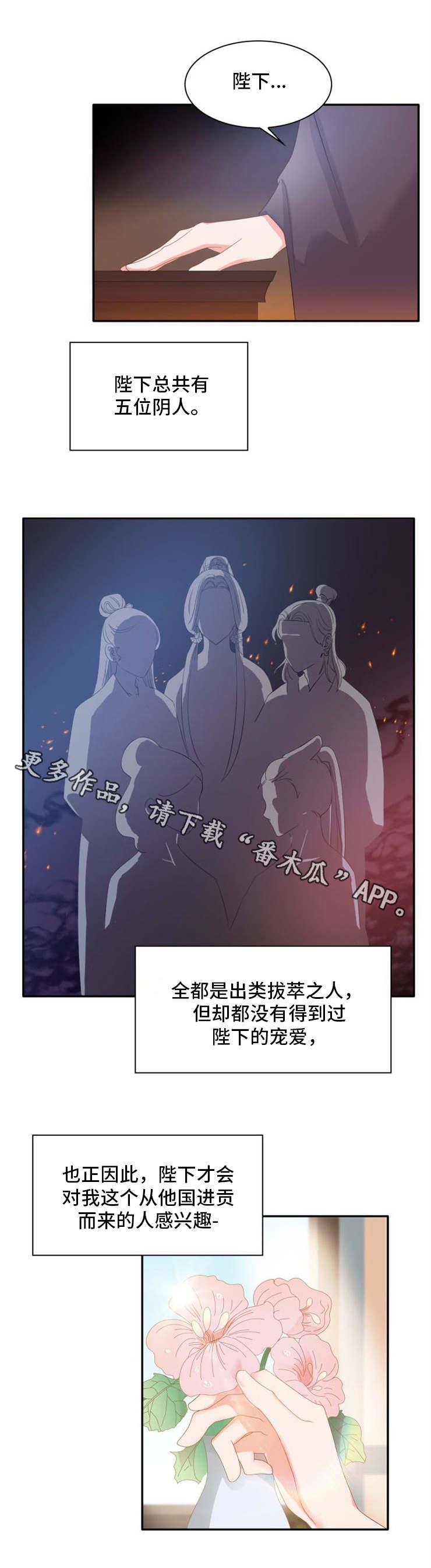 皇妃奇侠小说漫画,第17章：决心1图