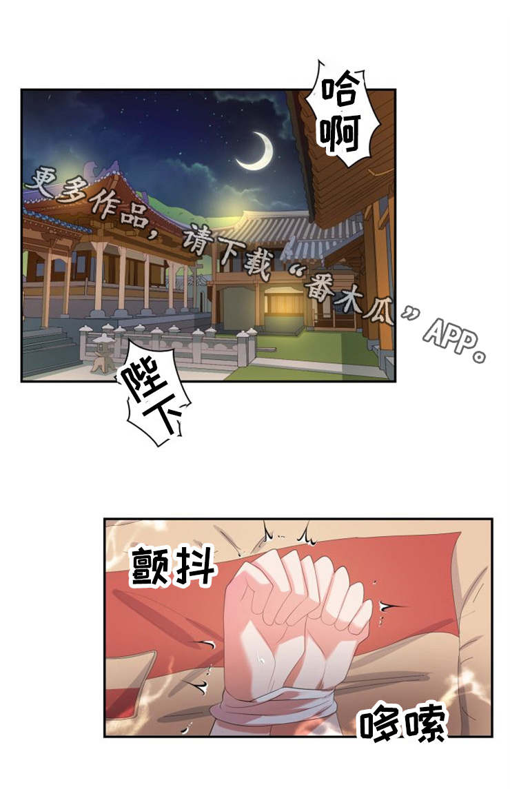 小说 皇妃漫画,第27章：意外1图