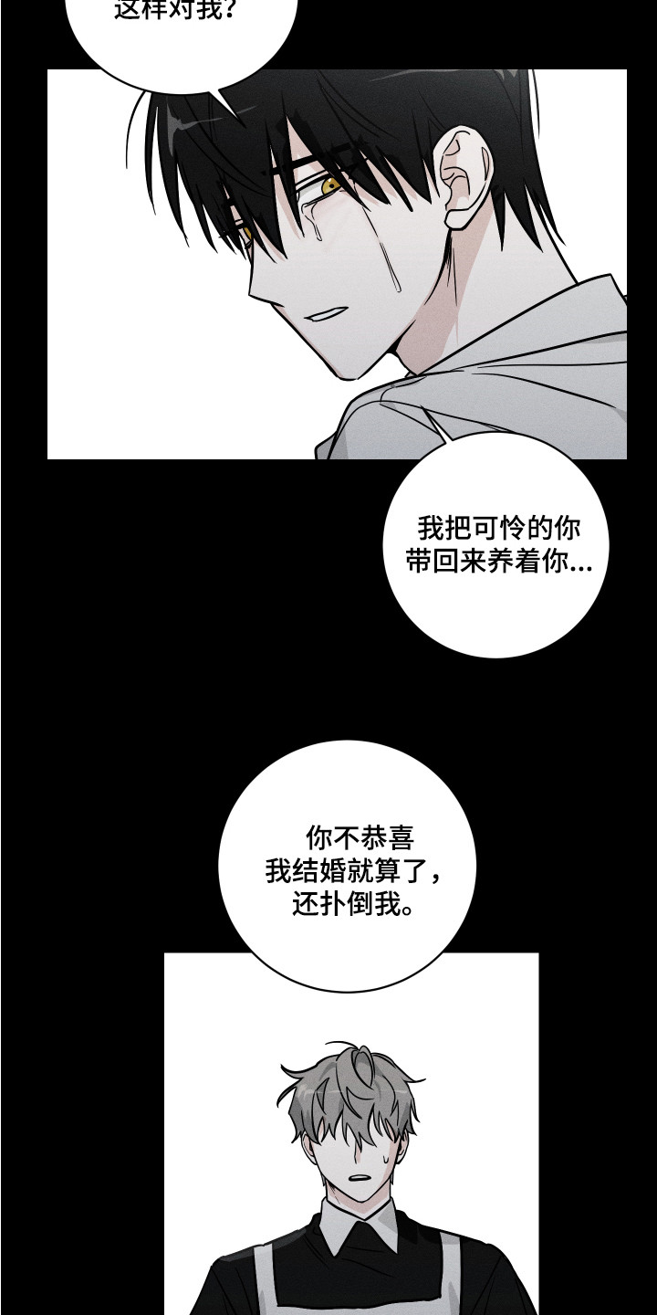 少爷的仆人漫画,第9章：求饶2图