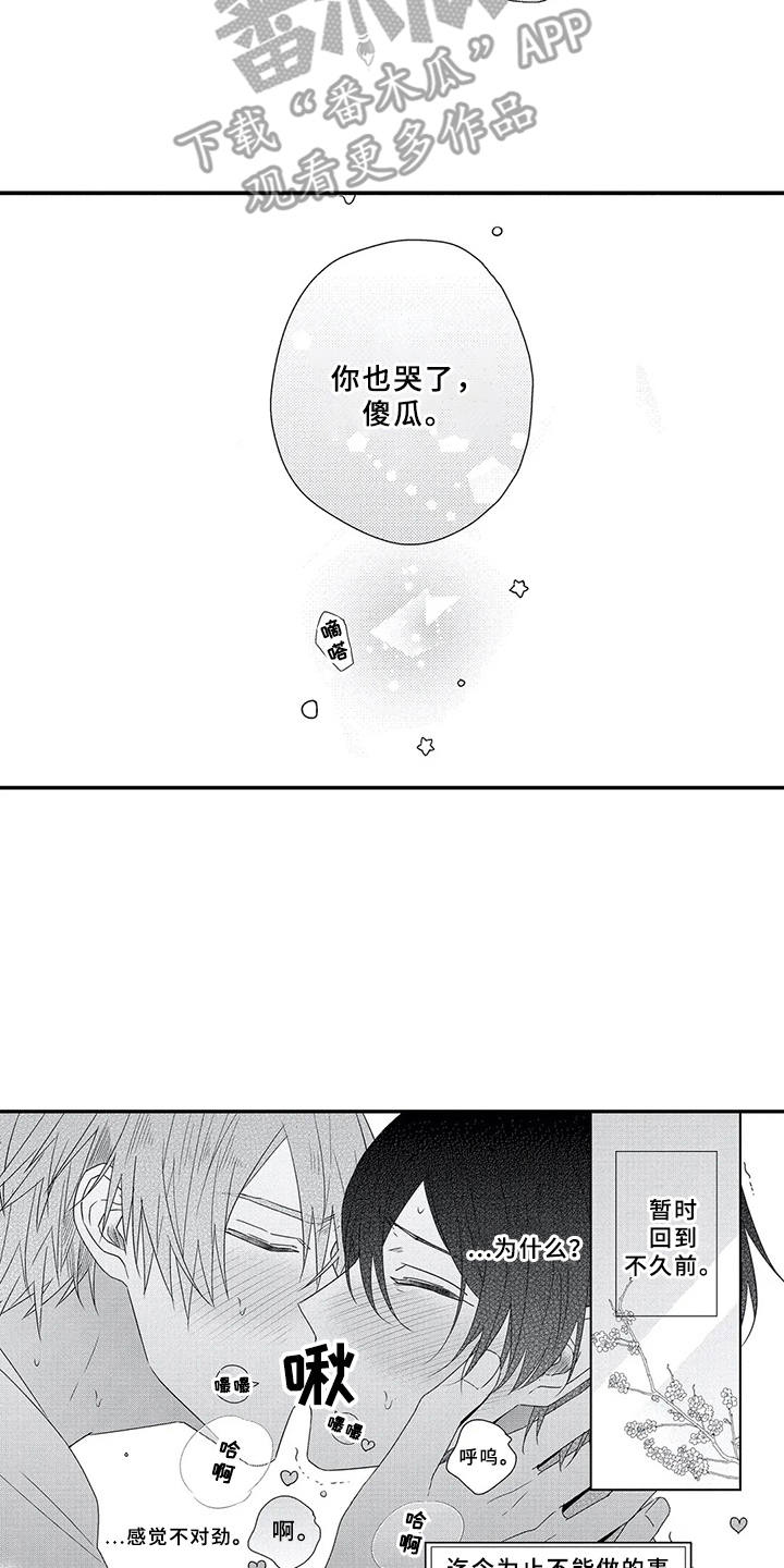 芳香族氨基酸漫画,第19章：互定终身（完结）2图